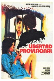 Libertad provisional